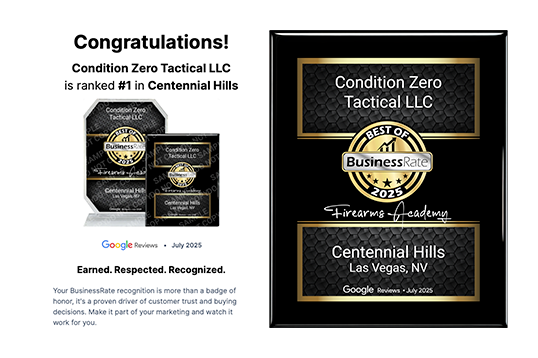 condition_zero_google_award
